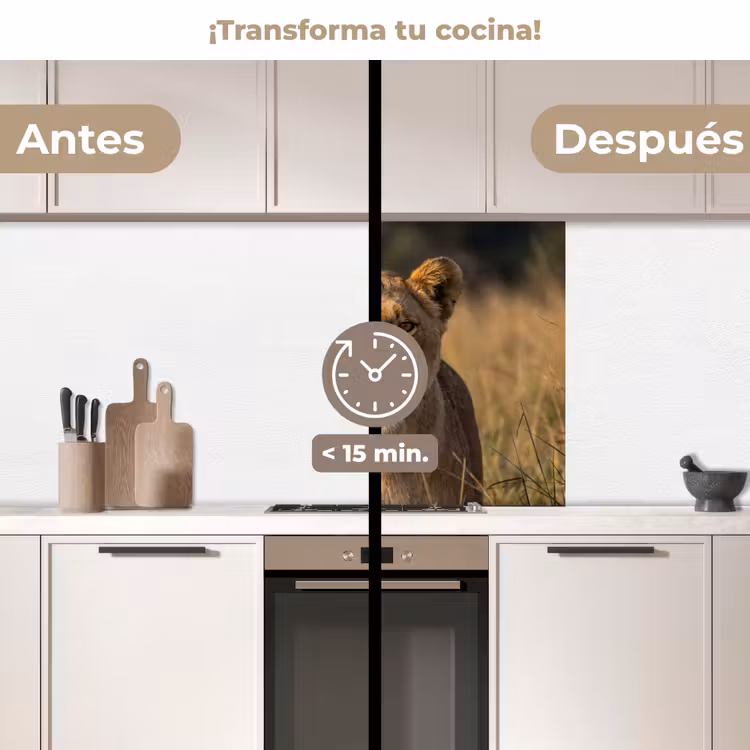 Revestimiento cocina - Leona - Hierba - Amarillo — 2