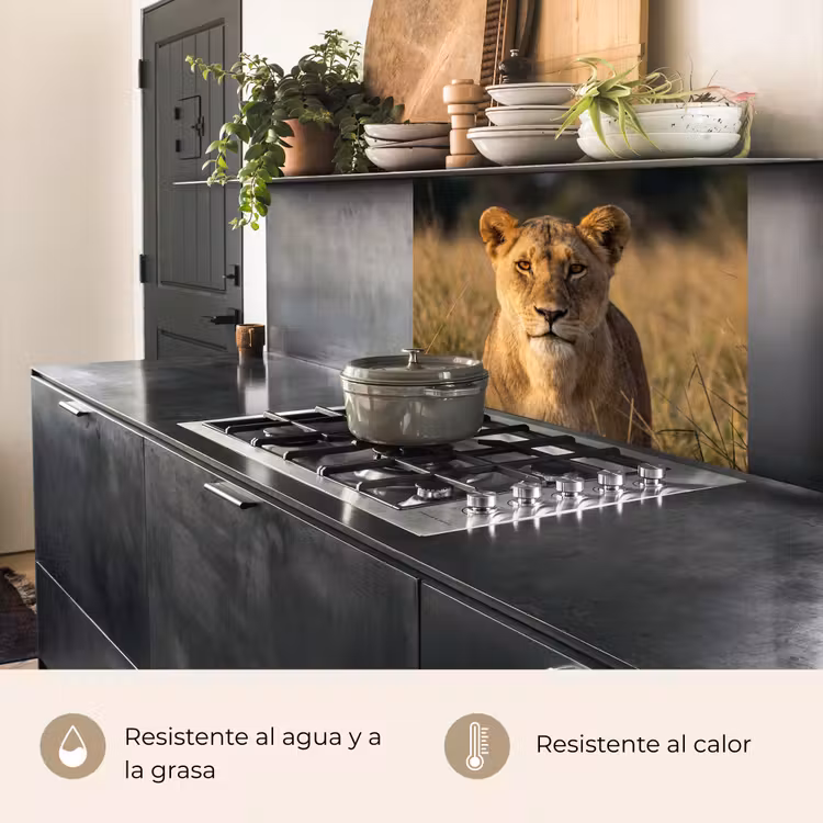 Revestimiento cocina - Leona - Hierba - Amarillo — 4