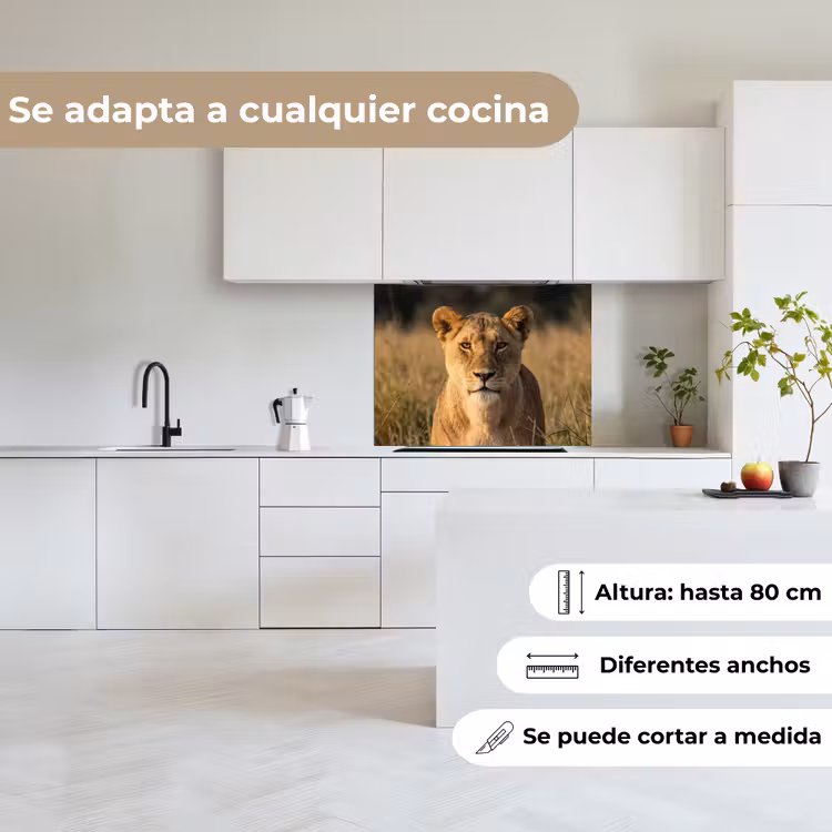 Revestimiento cocina - Leona - Hierba - Amarillo — 6
