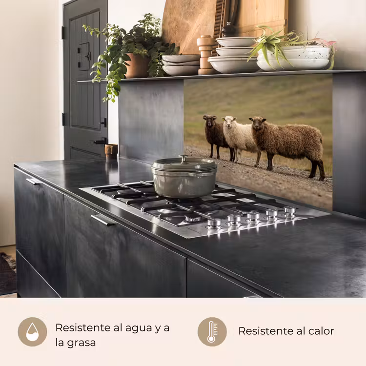 Revestimiento cocina - Oveja - Marrón - Blanco - Camino de grava — 4
