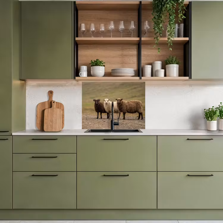 Revestimiento cocina - Oveja - Marrón - Blanco - Camino de grava — 7