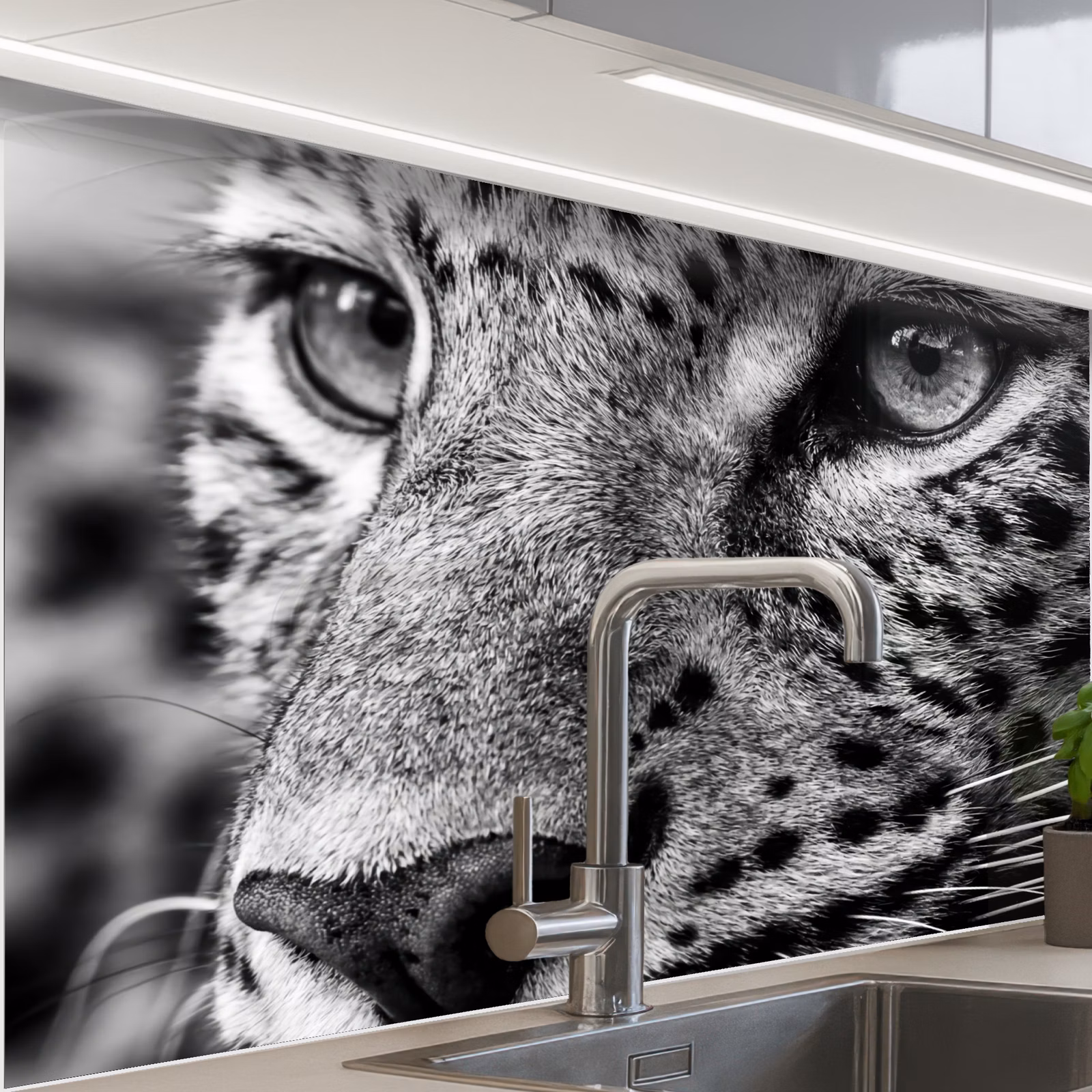 Revestimiento cocina - Leopardo - Negro - Blanco - Ojo — 1