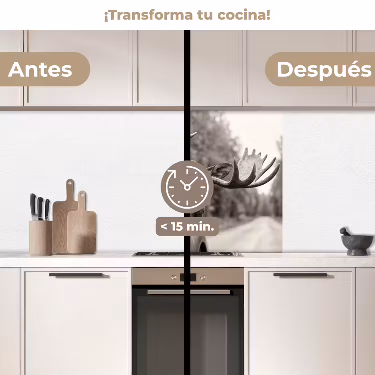 Revestimiento cocina - Alce - Coche - Cornamenta - Negro - Blanco — 2