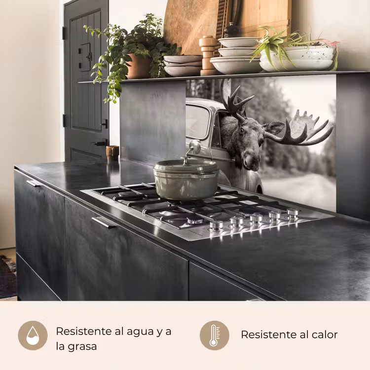 Revestimiento cocina - Alce - Coche - Cornamenta - Negro - Blanco — 4