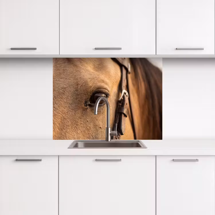 Revestimiento cocina - Caballo - Ojo - Marrón — 3