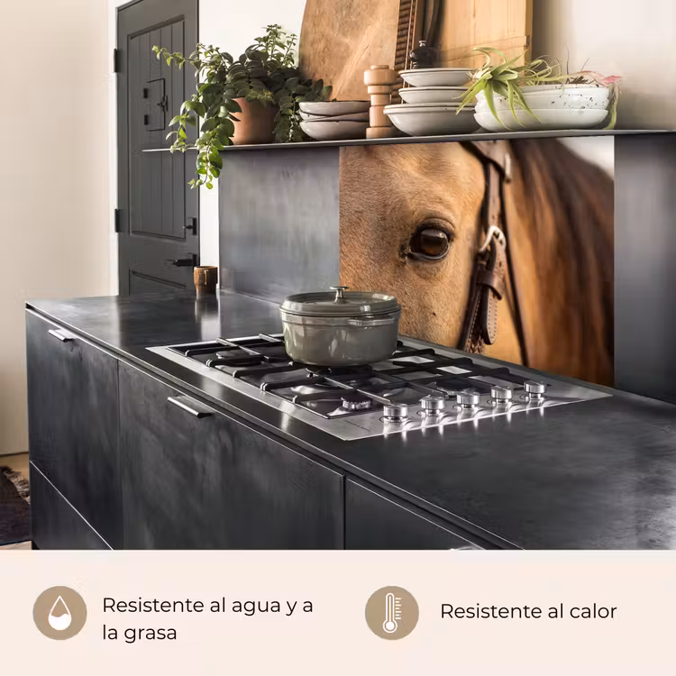 Revestimiento cocina - Caballo - Ojo - Marrón — 4