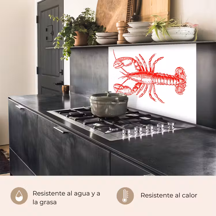 Revestimiento cocina - Cáncer - Rojo - Blanco — 4
