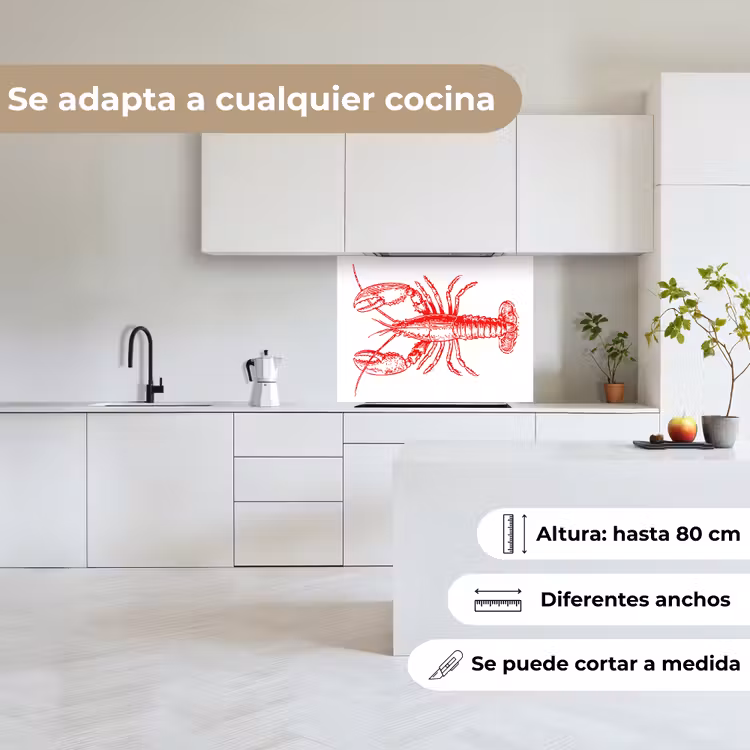 Revestimiento cocina - Cáncer - Rojo - Blanco — 6