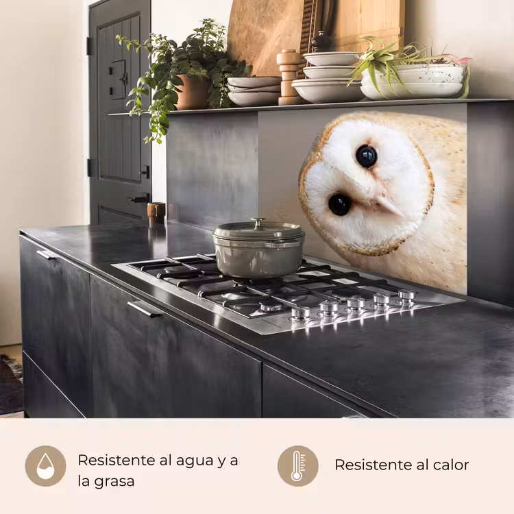 Revestimiento cocina - Búho - Marrón - Blanco — 4