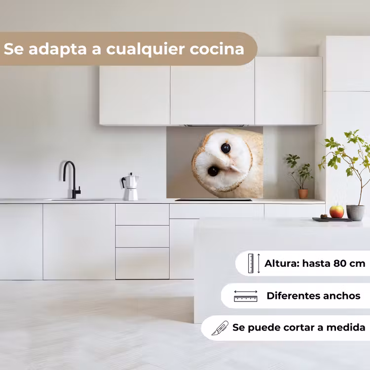 Revestimiento cocina - Búho - Marrón - Blanco — 6