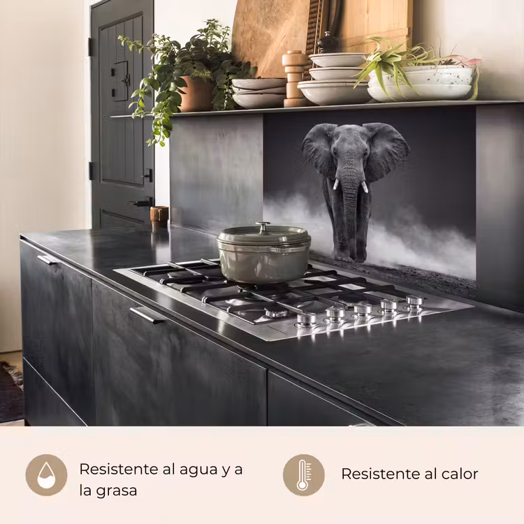 Revestimiento cocina - Elefante - Negro - Blanco - Humo — 4