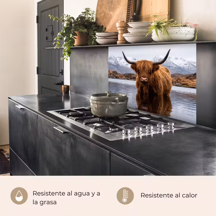 Revestimiento cocina - Highlander escocés - Marrón - Agua — 4