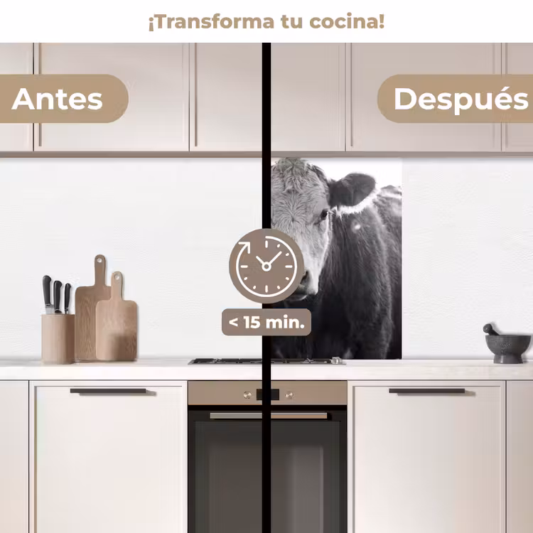 Revestimiento cocina - Vacas - Blanco y negro — 2