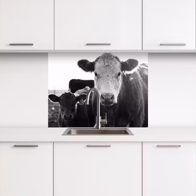 Revestimiento cocina - Vacas - Blanco y negro — 3
