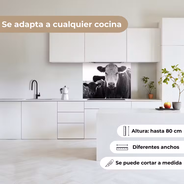 Revestimiento cocina - Vacas - Blanco y negro — 6