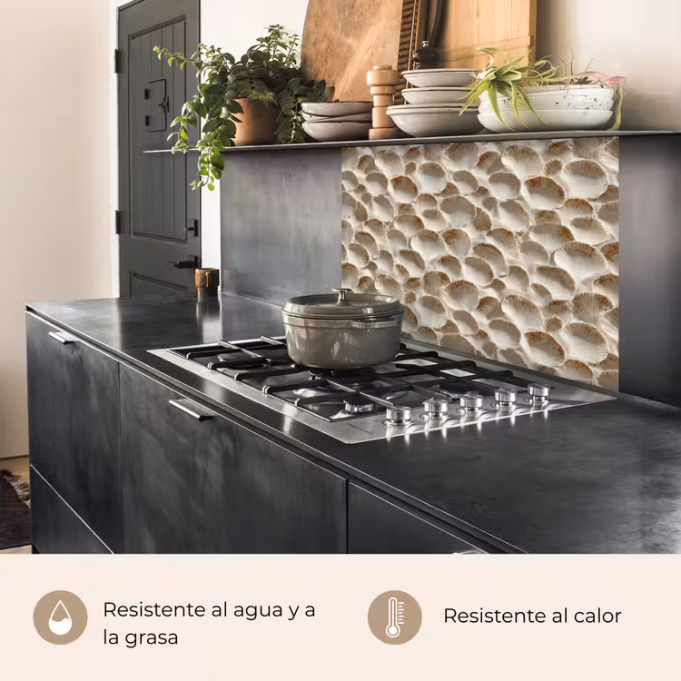 Revestimiento cocina - Conchas - Forma de abanico - Blanco — 4