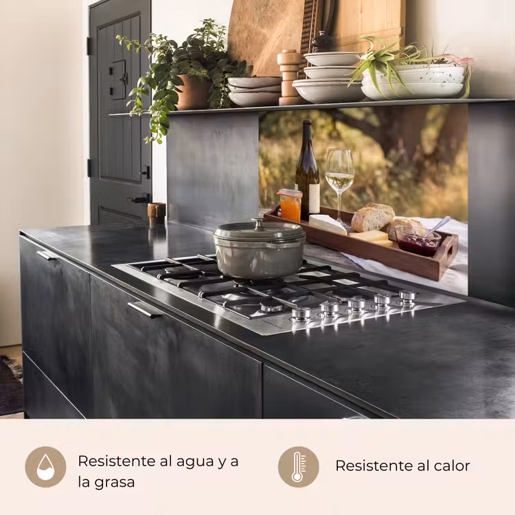 Revestimiento cocina - Picnic - Vino - Tabla de quesos — 4