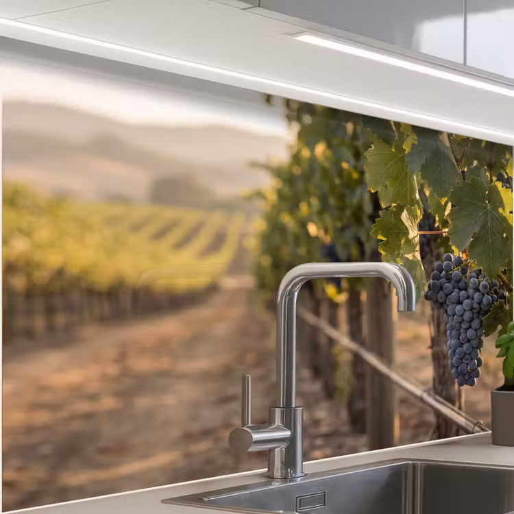 Revestimiento cocina - Uvas - Viñedo - Luz solar — 1