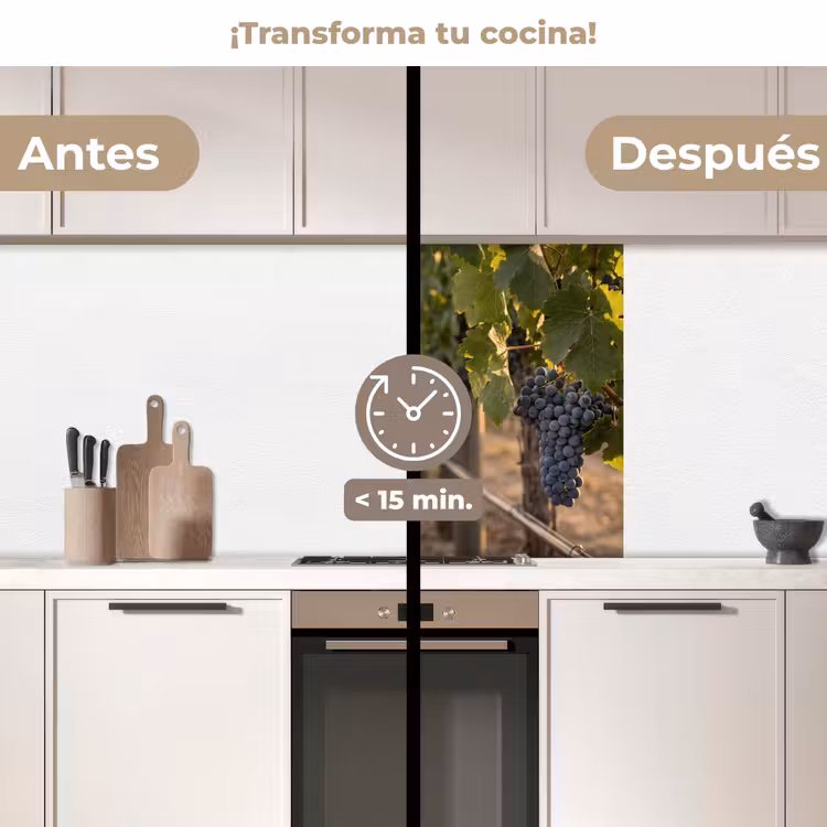 Revestimiento cocina - Uvas - Viñedo - Luz solar — 2