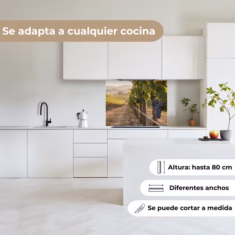 Revestimiento cocina - Uvas - Viñedo - Luz solar — 6