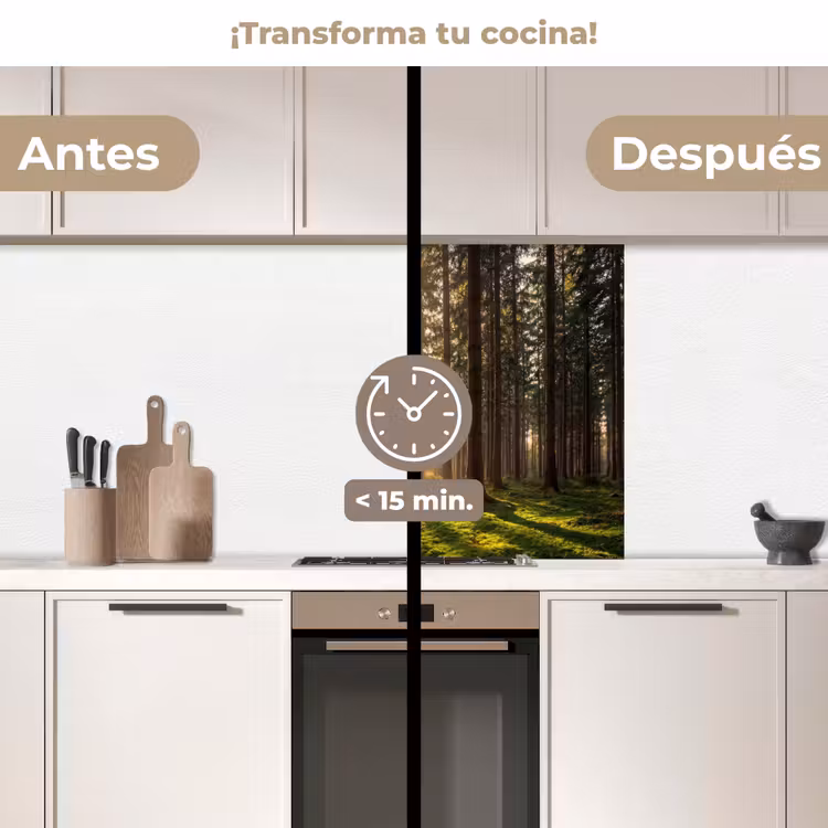 Revestimiento cocina - Bosque - Hierba - Luz solar — 2