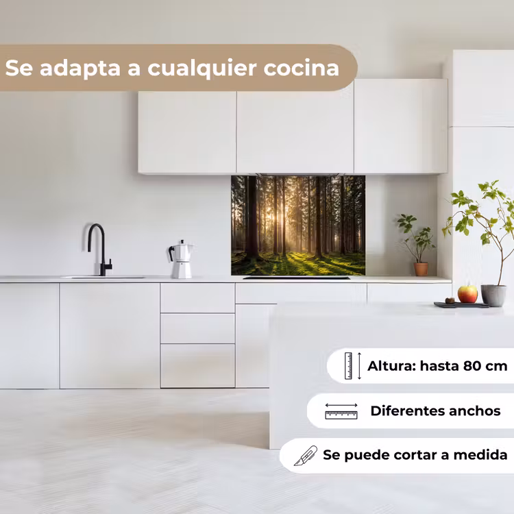 Revestimiento cocina - Bosque - Hierba - Luz solar — 6