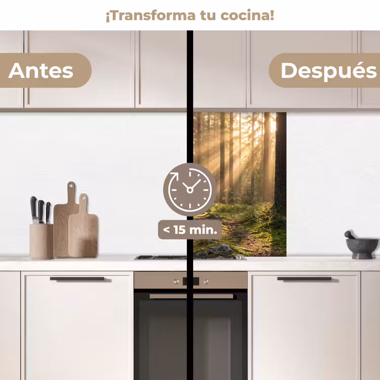 Revestimiento cocina - Bosque - Luz solar - Hierba — 2