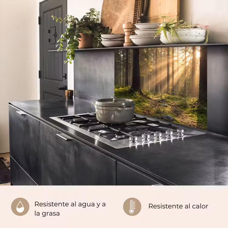 Revestimiento cocina - Bosque - Luz solar - Hierba — 4