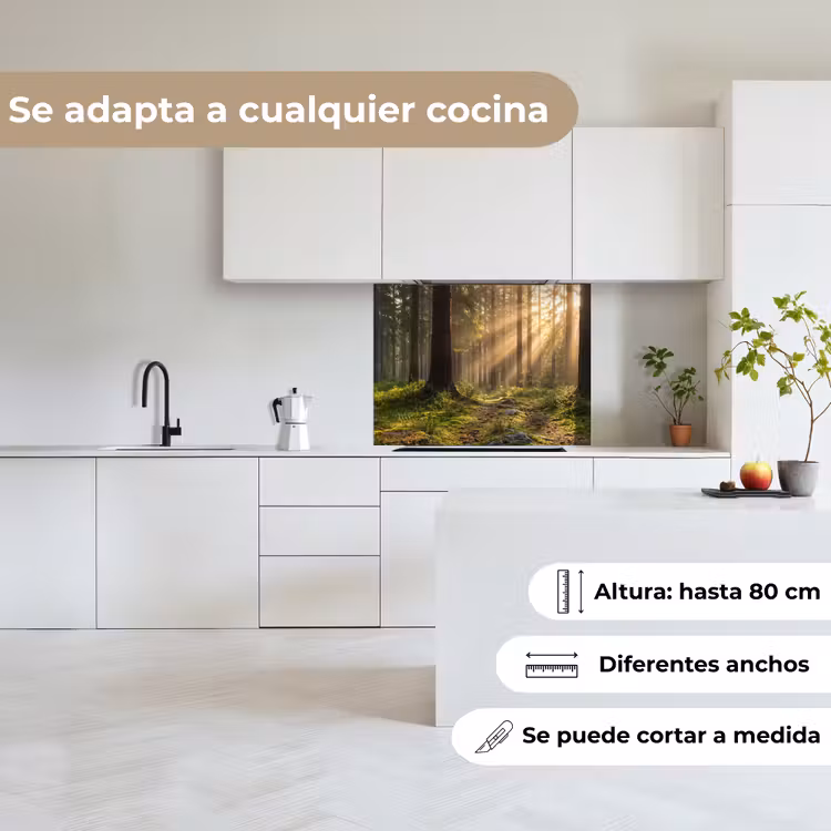 Revestimiento cocina - Bosque - Luz solar - Hierba — 6