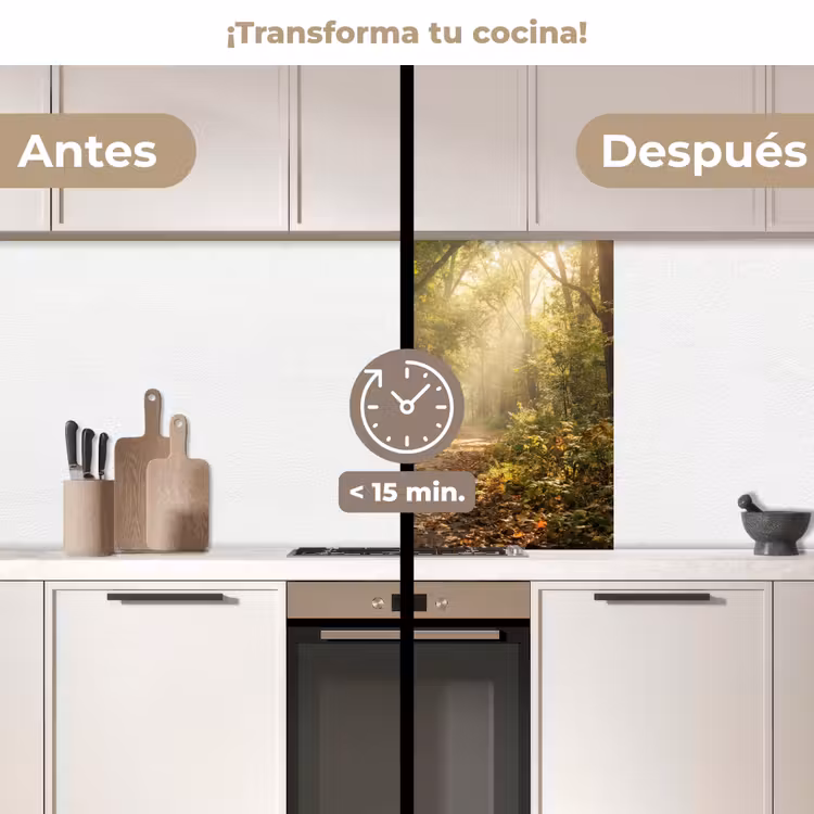 Revestimiento cocina - Luz solar - camino forestal - árboles — 2