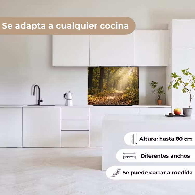 Revestimiento cocina - Luz solar - camino forestal - árboles — 6