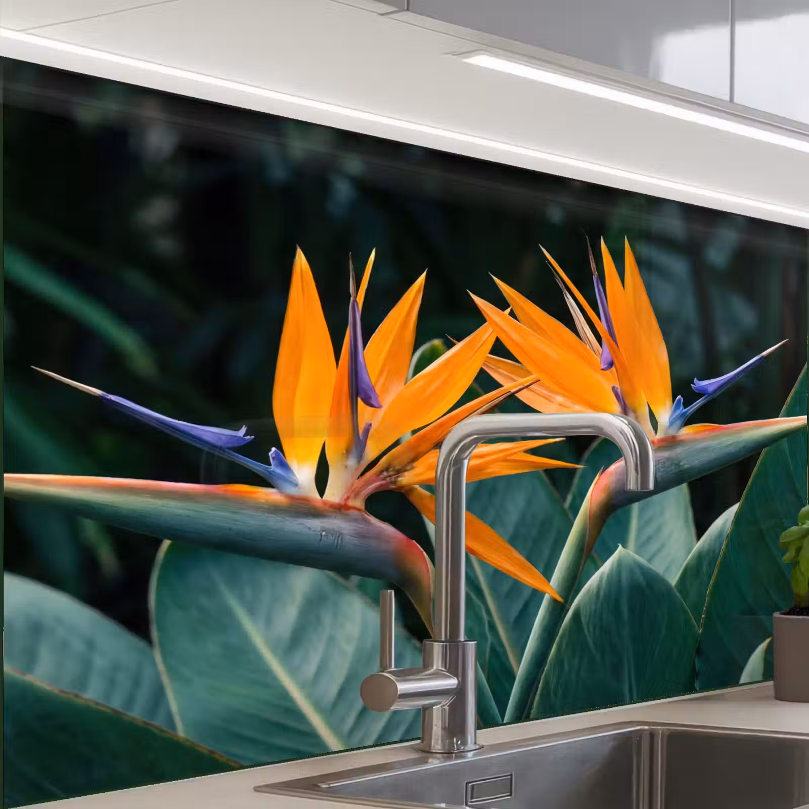 Revestimiento cocina - Ave del paraíso - Flor - Exótico — 1