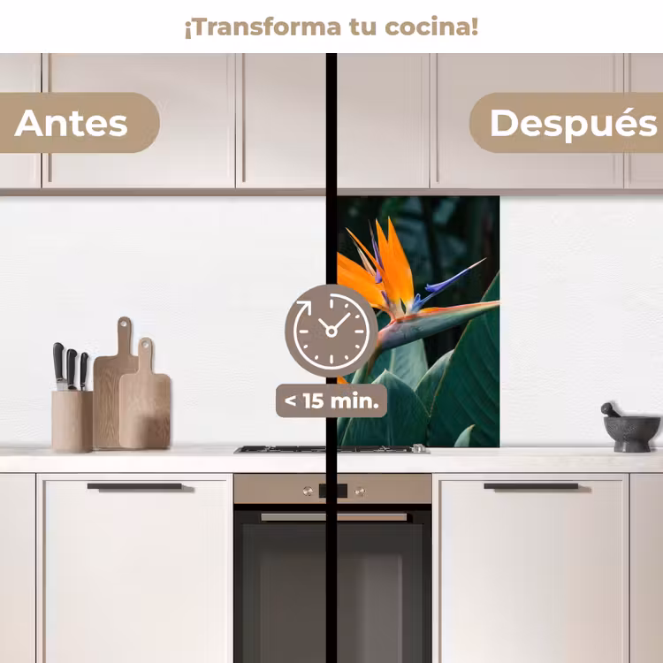 Revestimiento cocina - Ave del paraíso - Flor - Exótico — 2