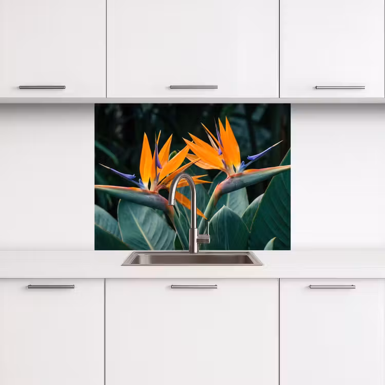 Revestimiento cocina - Ave del paraíso - Flor - Exótico — 3