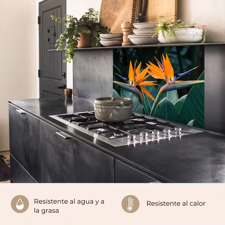 Revestimiento cocina - Ave del paraíso - Flor - Exótico — 4