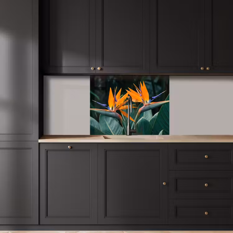 Revestimiento cocina - Ave del paraíso - Flor - Exótico — 5