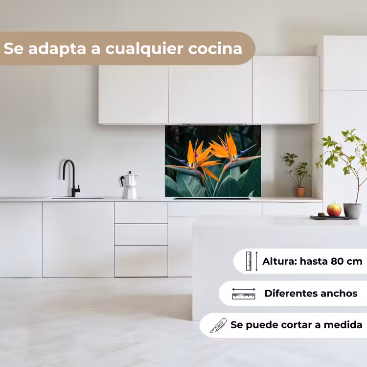 Revestimiento cocina - Ave del paraíso - Flor - Exótico — 6
