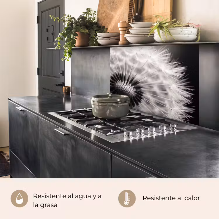 Revestimiento cocina - Diente de león - Negro - Blanco — 4