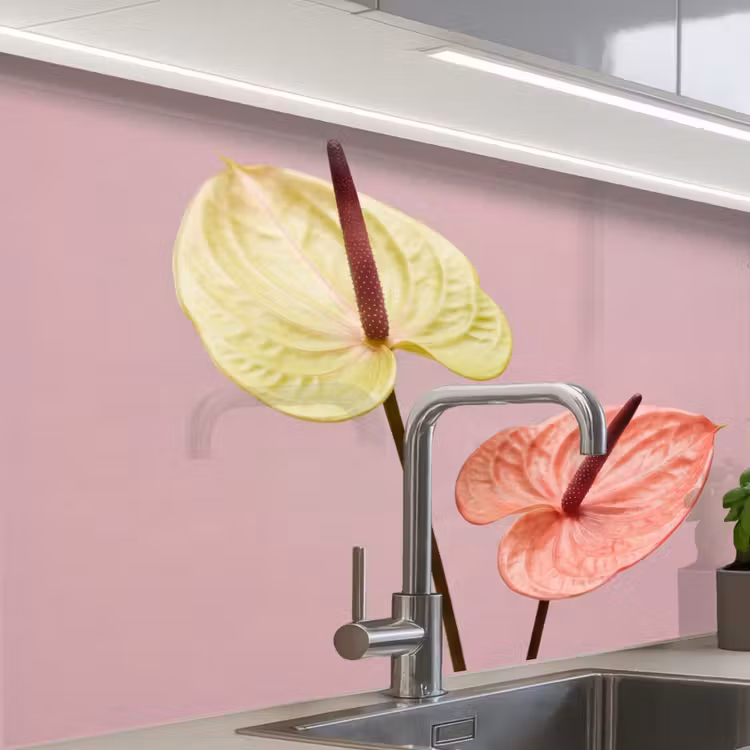 Revestimiento cocina - Flores - Anturios - Amarillo - Rosa — 1