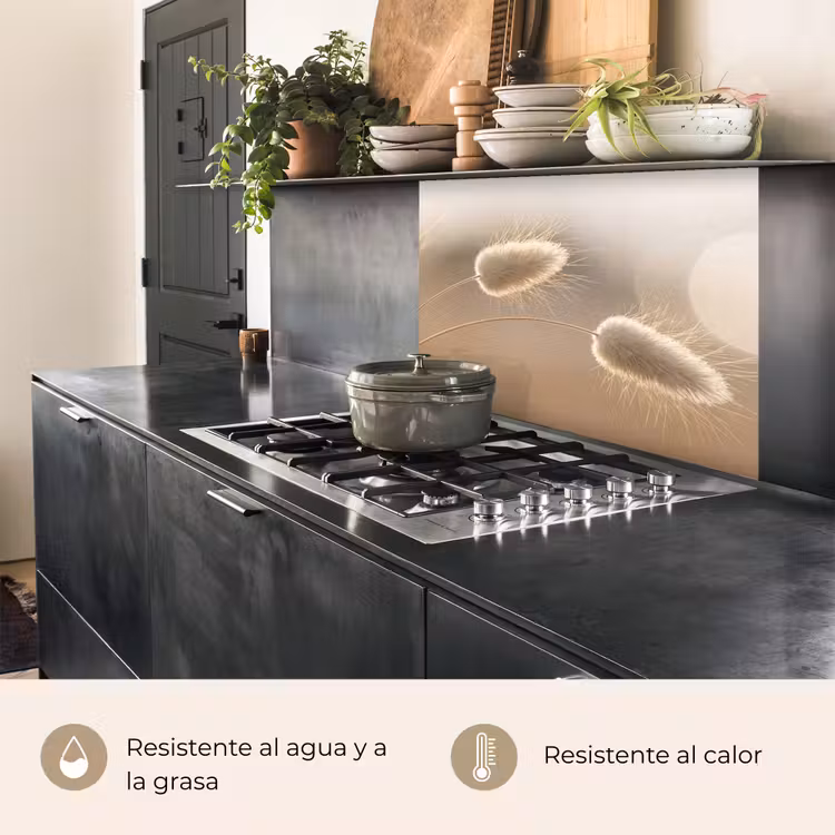Revestimiento cocina - Haze tail grass - Pelos del grano - Luz solar — 4