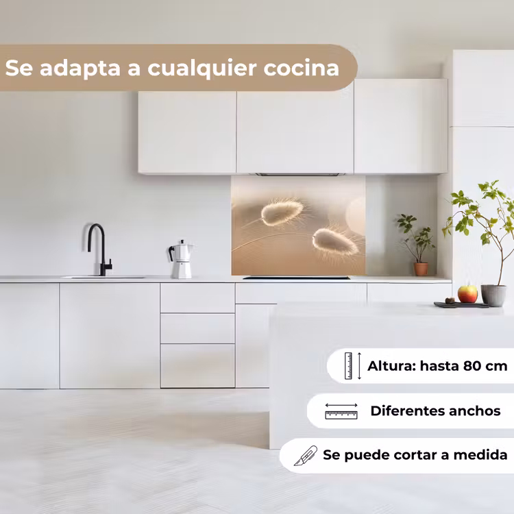 Revestimiento cocina - Haze tail grass - Pelos del grano - Luz solar — 6