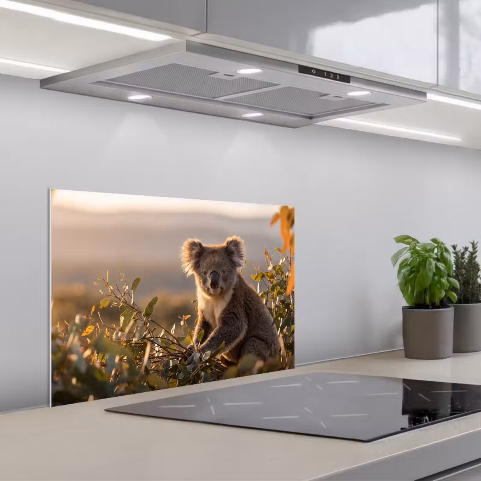 Salpicaderos de cocina - Koala - Hojas - Luz matinal — 1