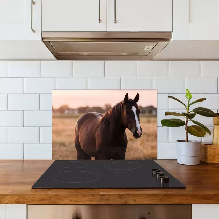 Salpicaderos de cocina - Caballo - Atardecer - Marrón — 3