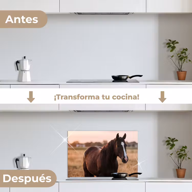 Salpicaderos de cocina - Caballo - Atardecer - Marrón — 7