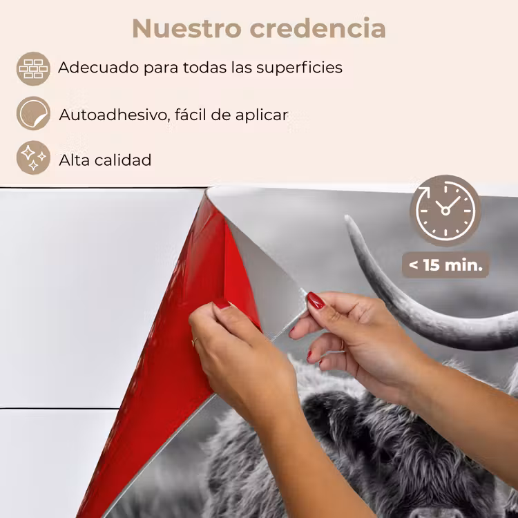 Salpicaderos de cocina - Highlander escocés - Becerro - Negro - Blanco — 4
