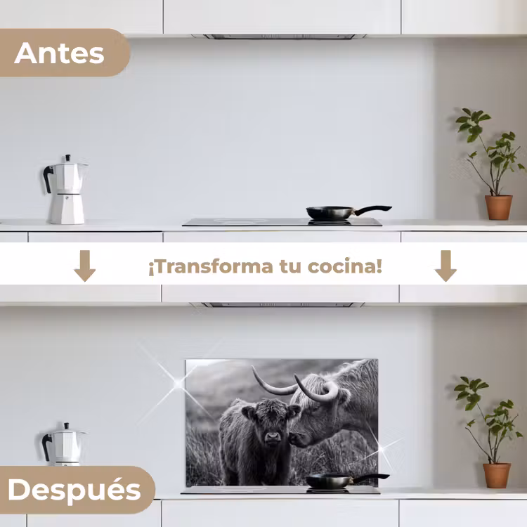 Salpicaderos de cocina - Highlander escocés - Becerro - Negro - Blanco — 7