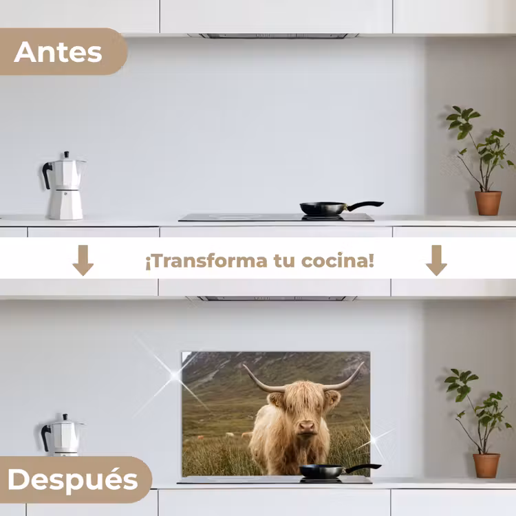 Salpicaderos de cocina - Highlander escocés - Bergen - Campo de hierba — 7