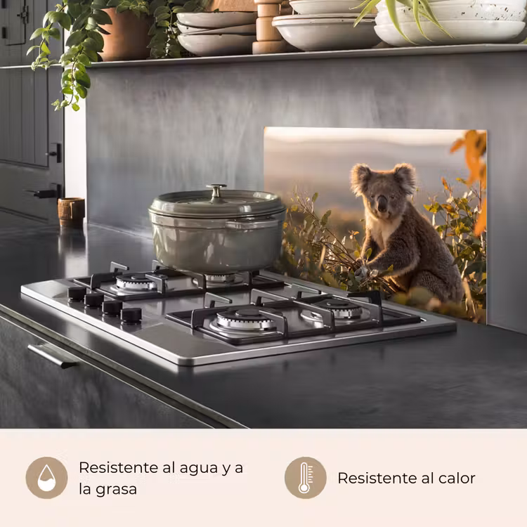 Salpicaderos de cocina - Koala - Hojas - Luz matinal — 2