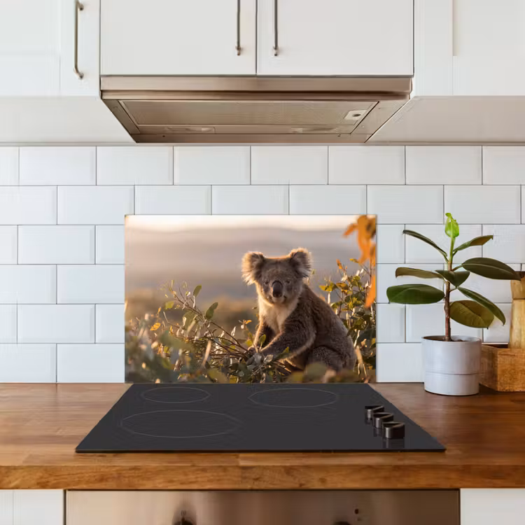 Salpicaderos de cocina - Koala - Hojas - Luz matinal — 3
