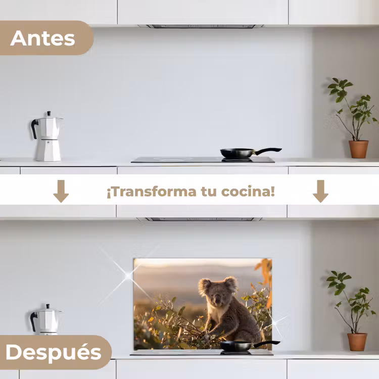 Salpicaderos de cocina - Koala - Hojas - Luz matinal — 7